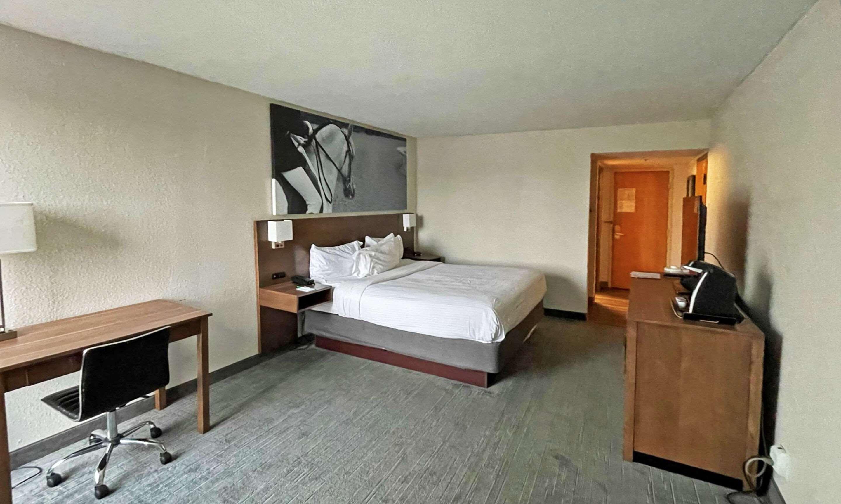 Clarion Pointe Hopkinsville Near The Bruce Convention Center Eksteriør billede